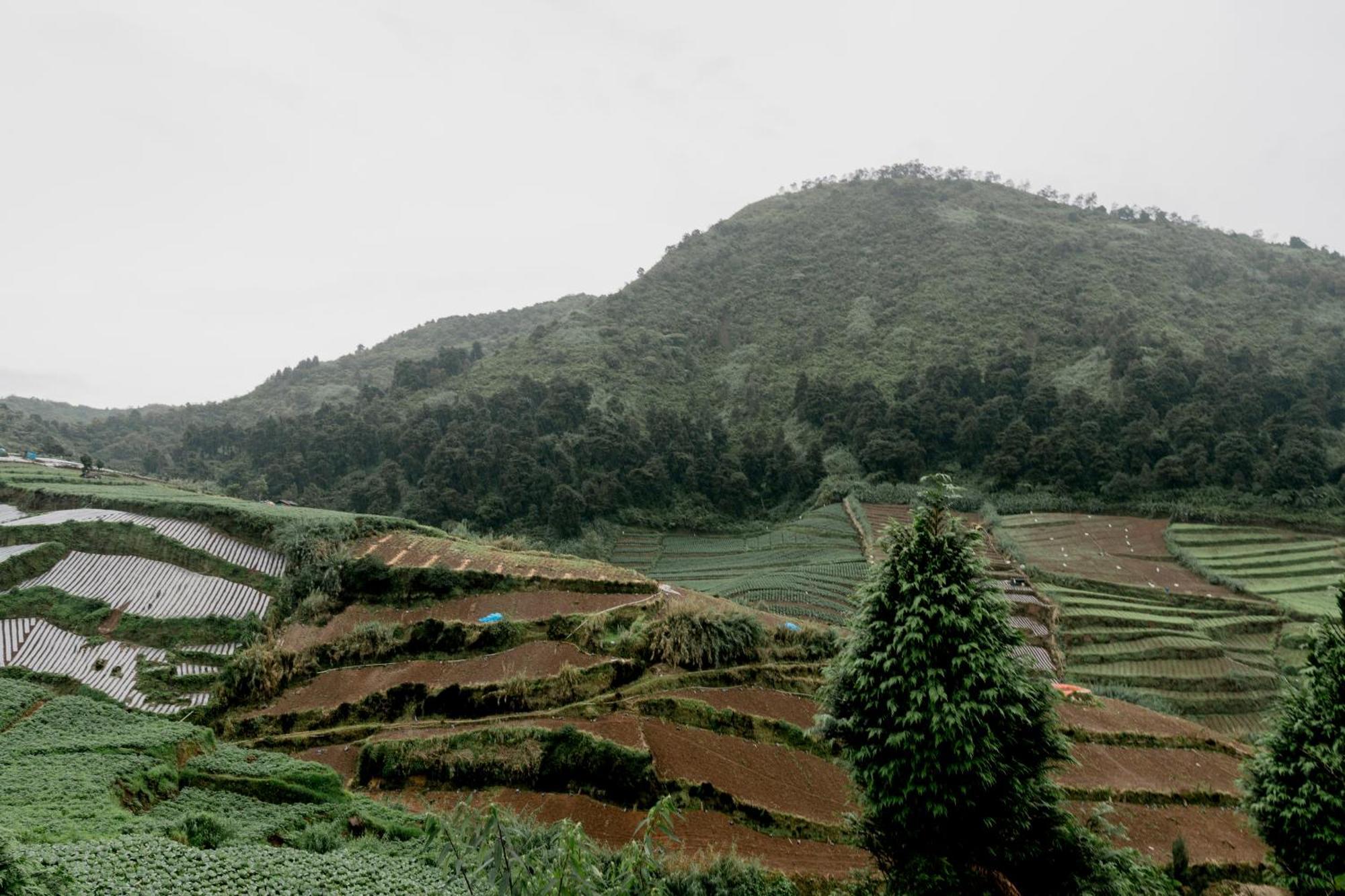 Satha Private Villa Dieng Banjarnegara Eksteriør billede